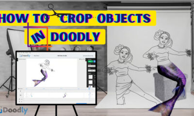 Crop Objects in Doodly